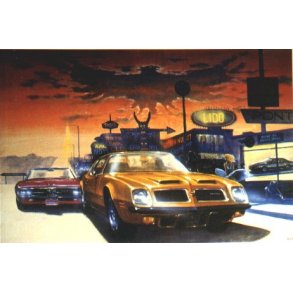 The Big Bird<BR>Pontiac Firebird