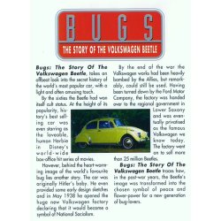 VW BUGS - The Story of the VOLKSWAGEN BEETLE
