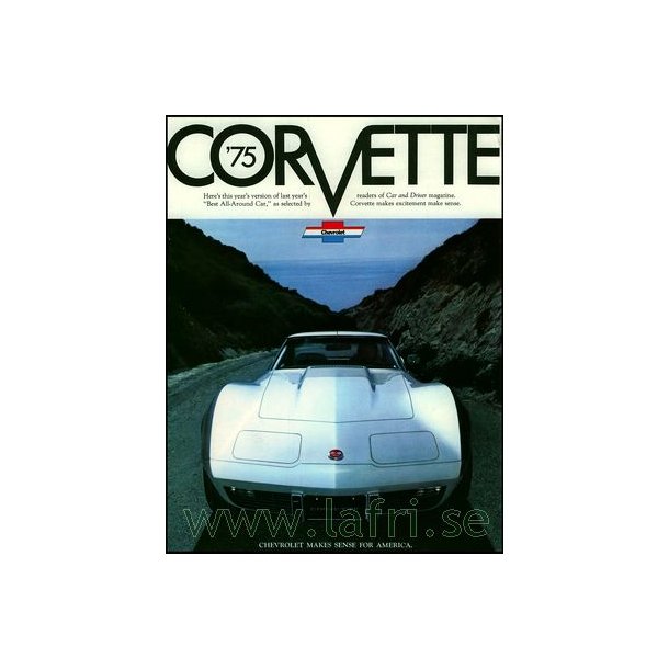 1975 CORVETTE