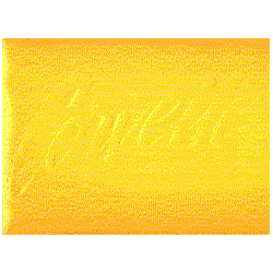 1995 CORVETTE Convertible, Coupe &amp; ZR-1