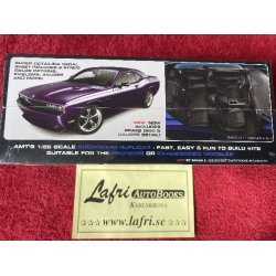 DODGE 2010 Challenger R/T