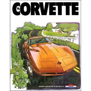 1974 CORVETTE