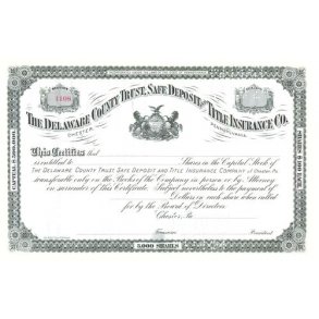 THE DELAWARE COUNTY TRUST, SAFE DEPOSIT