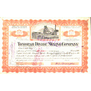 TONOPAH DIVIDE MINING COMPANY [1919]