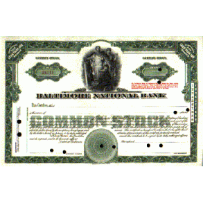 BALTIMORE NATIONAL BANK