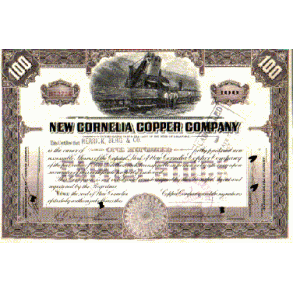 NEW CORNELIA COPPER COMPANY [1929]