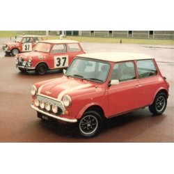 MINI Gold Portfolio 1981-1997