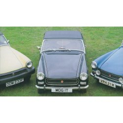 MG MIDGET Gold Portfolio 1961-1979
