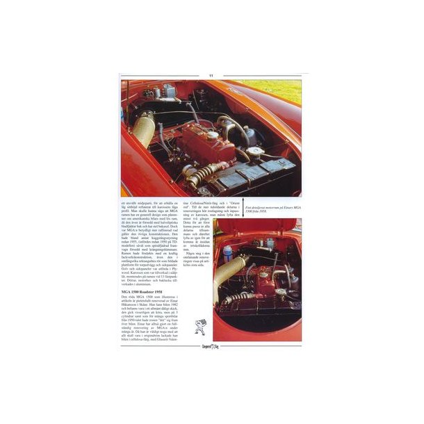 Chequered Flag Nr 1 - 1996