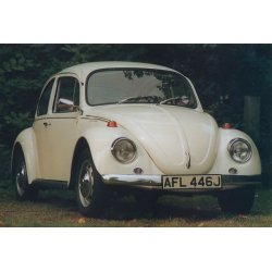 THE VW BEETLE - A Celebration of the vw bug