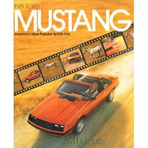1981 Mustang