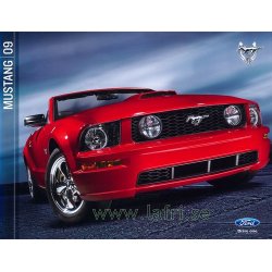 2009 Mustang