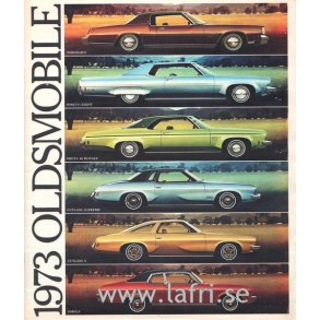 1973 Hela programmet